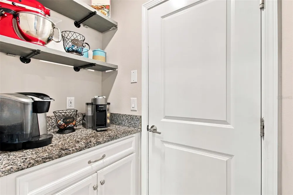 3207 PAINTED BLOSSOM COURT Lutz, FL 33558