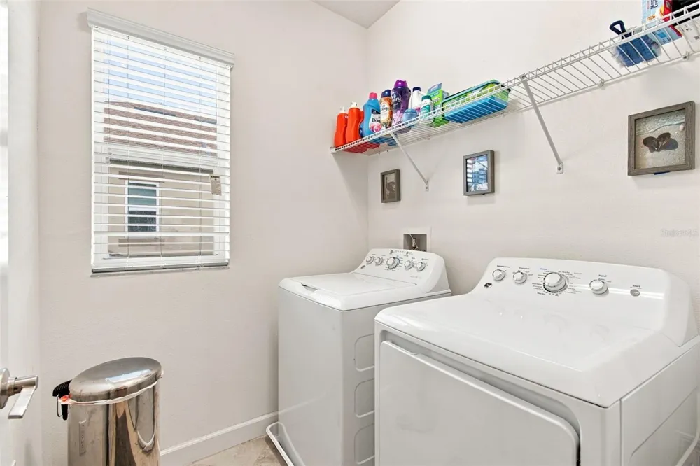 3207 PAINTED BLOSSOM COURT Lutz, FL 33558