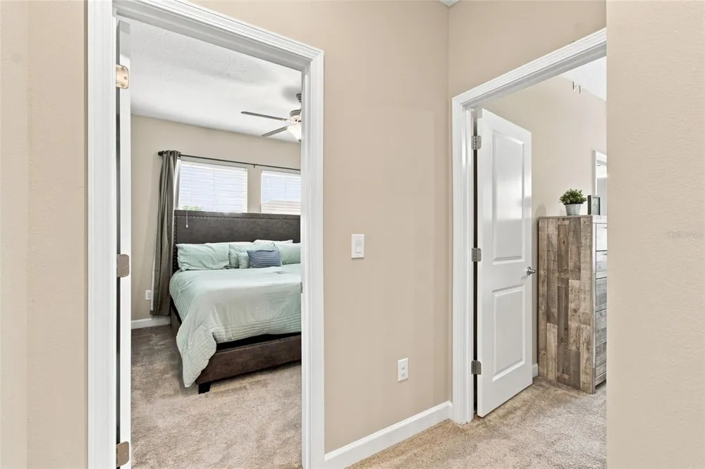 3207 PAINTED BLOSSOM COURT Lutz, FL 33558