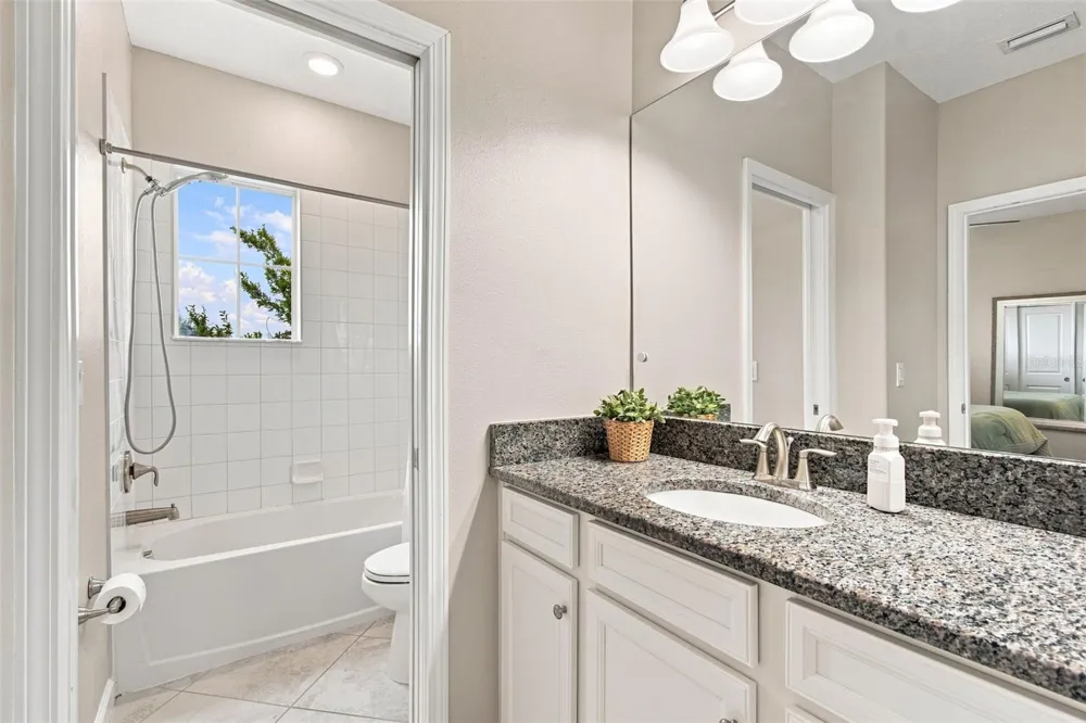 3207 PAINTED BLOSSOM COURT Lutz, FL 33558
