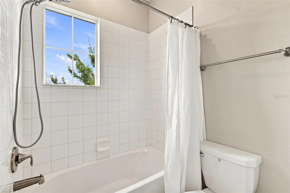 3207 PAINTED BLOSSOM COURT Lutz, FL 33558