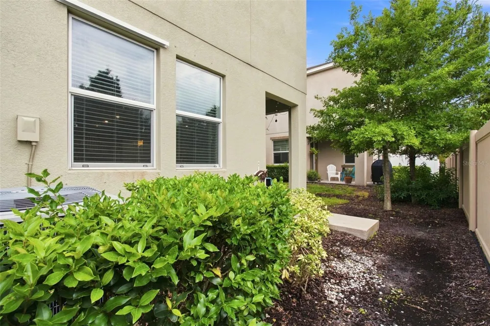 3207 PAINTED BLOSSOM COURT Lutz, FL 33558