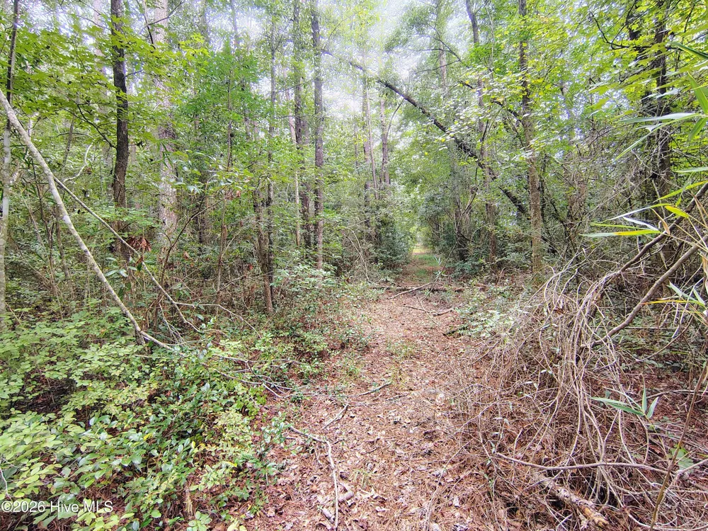 Lot 45 Near 519 Deer Lane Tabor City, NC 28463
