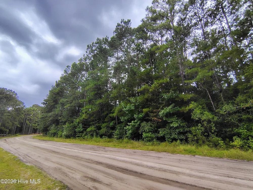 Lot 45 Near 519 Deer Lane Tabor City, NC 28463