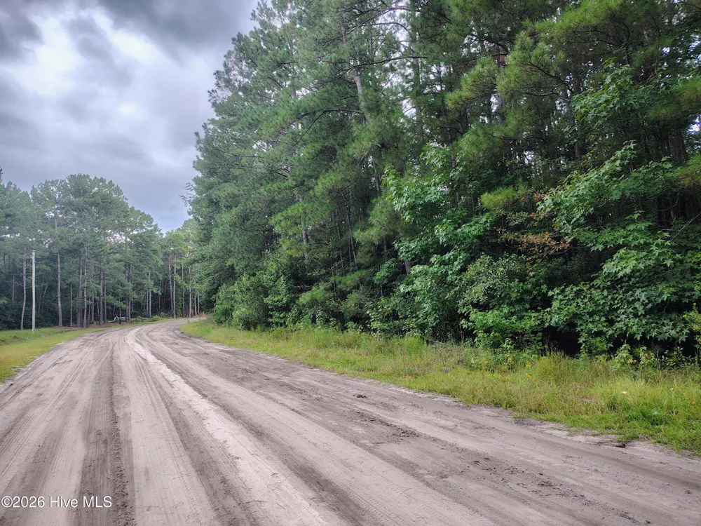 Lot 45 Near 519 Deer Lane Tabor City, NC 28463