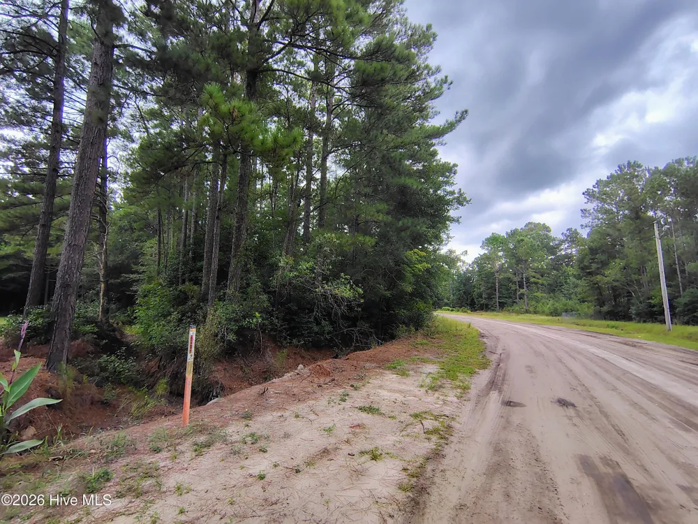 Lot 45 Near 519 Deer Lane Tabor City, NC 28463