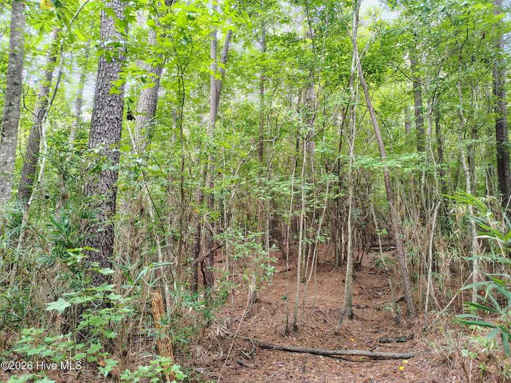 Lot 45 Near 519 Deer Lane Tabor City, NC 28463