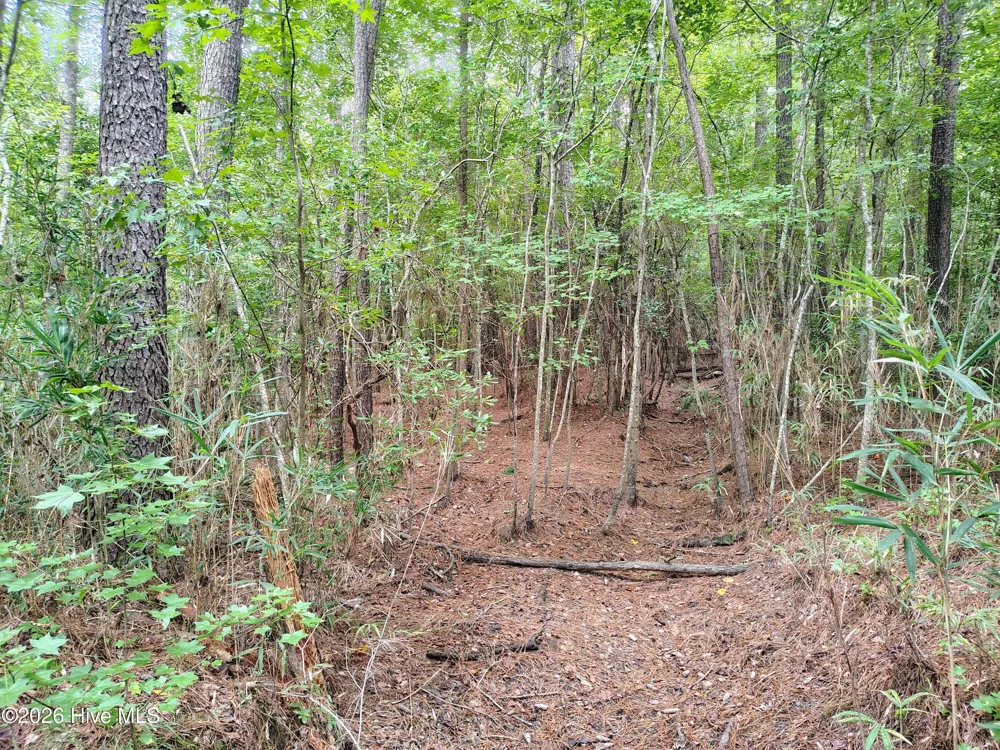 Lot 45 Near 519 Deer Lane Tabor City, NC 28463