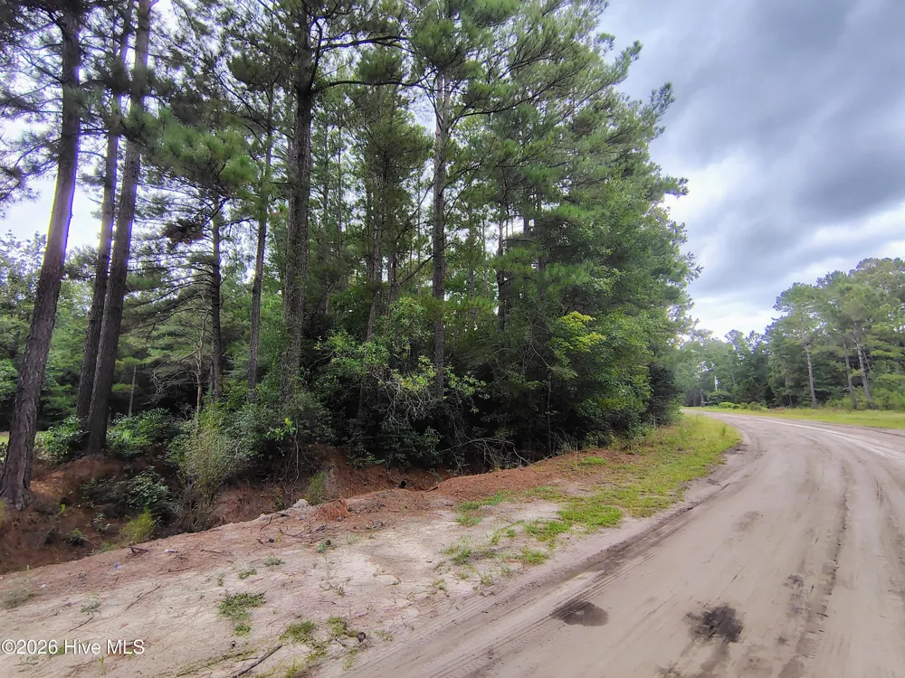 Lot 45 Near 519 Deer Lane Tabor City, NC 28463