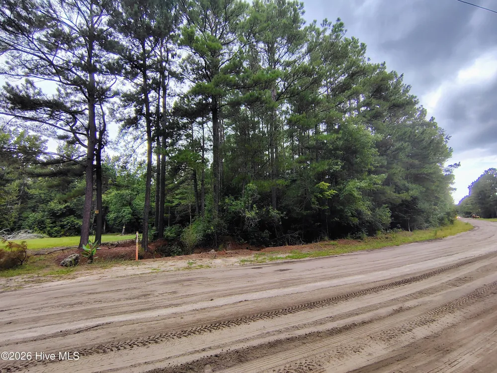 Lot 45 Near 519 Deer Lane Tabor City, NC 28463