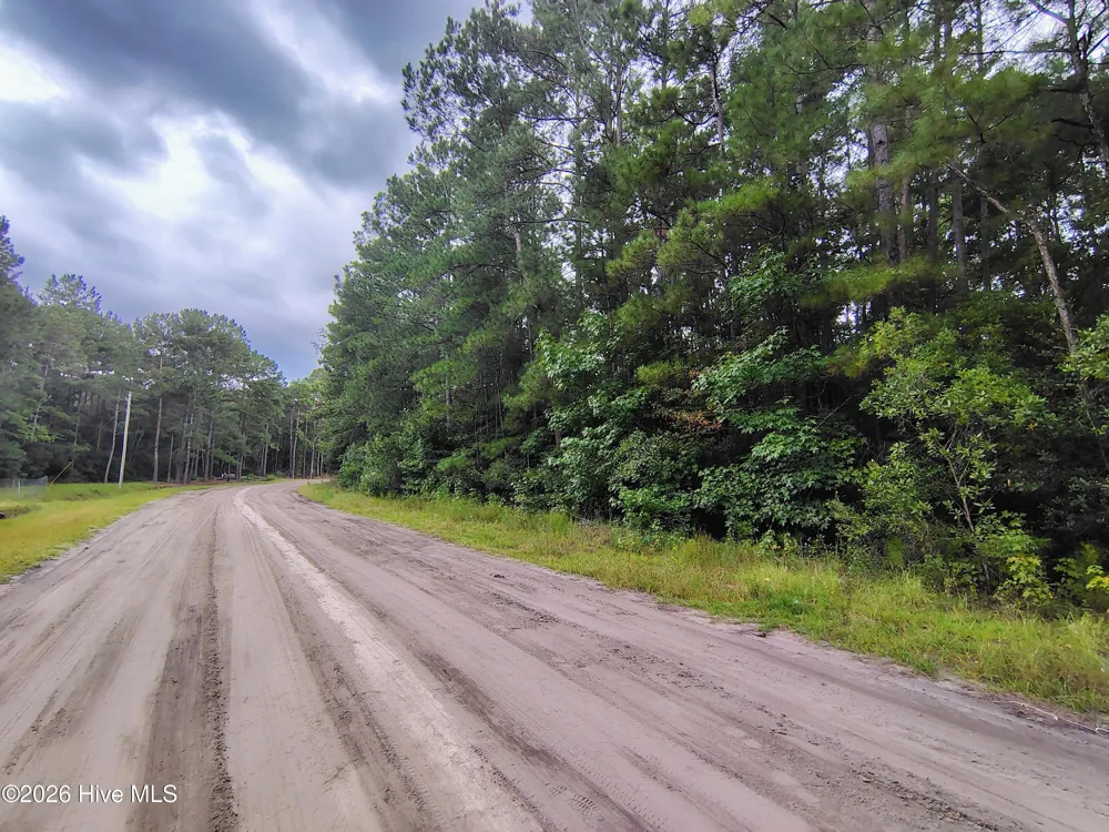 Lot 45 Near 519 Deer Lane Tabor City, NC 28463