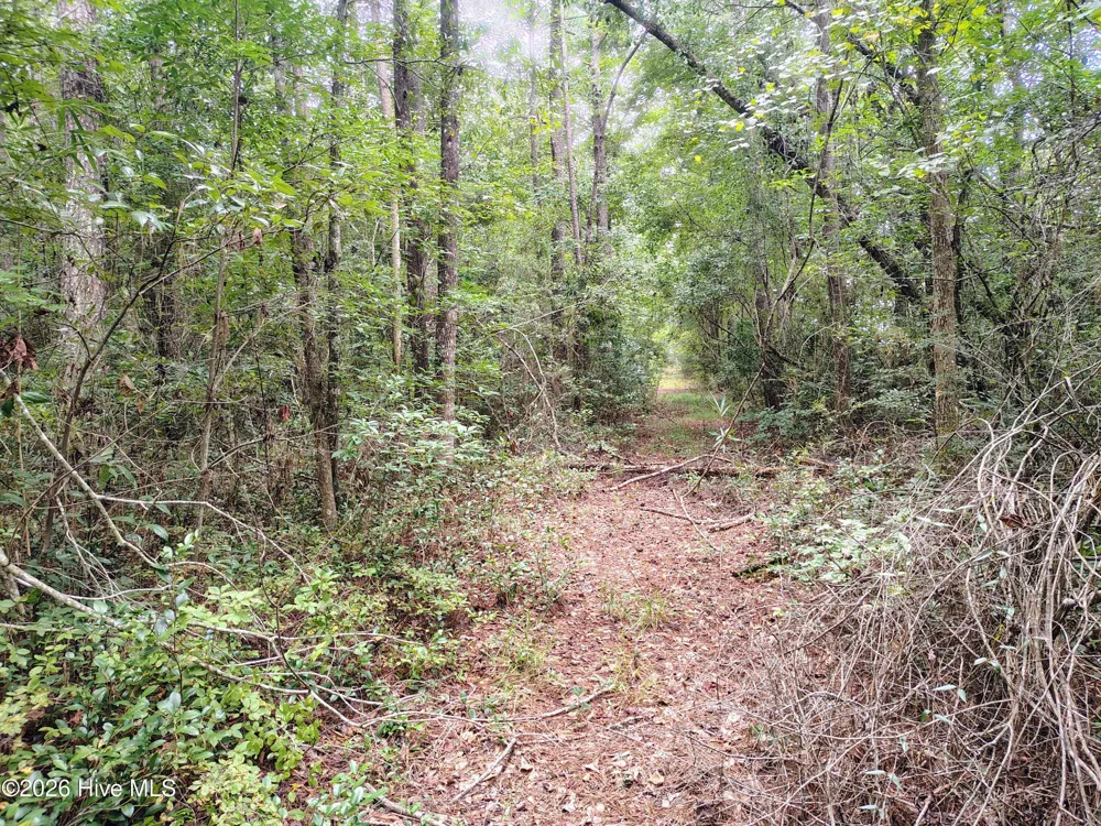 Lot 45 Near 519 Deer Lane Tabor City, NC 28463