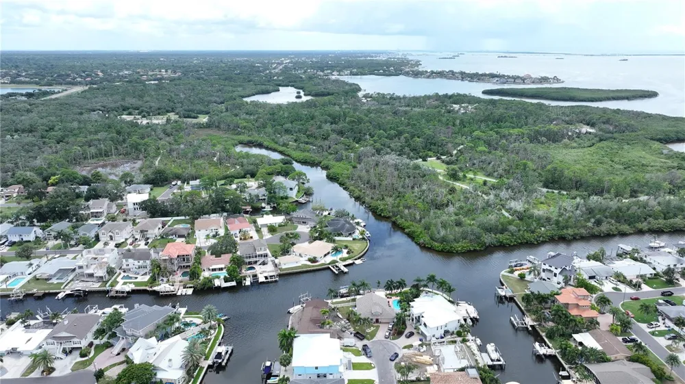 303 MORNINGSIDE DRIVE Palm Harbor, FL 34683