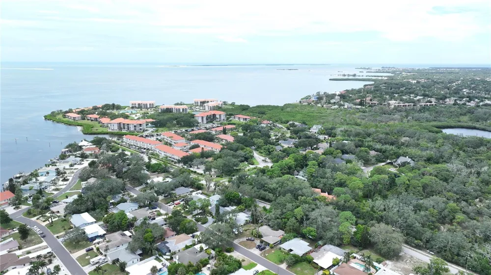303 MORNINGSIDE DRIVE Palm Harbor, FL 34683