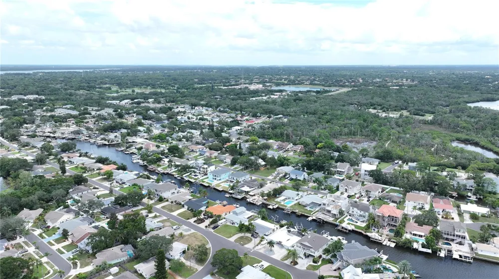 303 MORNINGSIDE DRIVE Palm Harbor, FL 34683