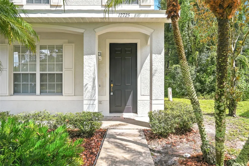 12725 SUNLAND COURT Tampa, FL 33625