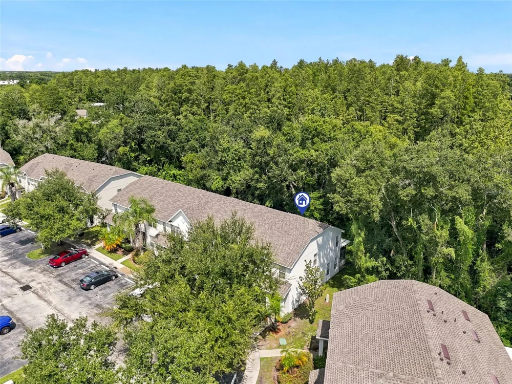 12725 SUNLAND COURT Tampa, FL 33625