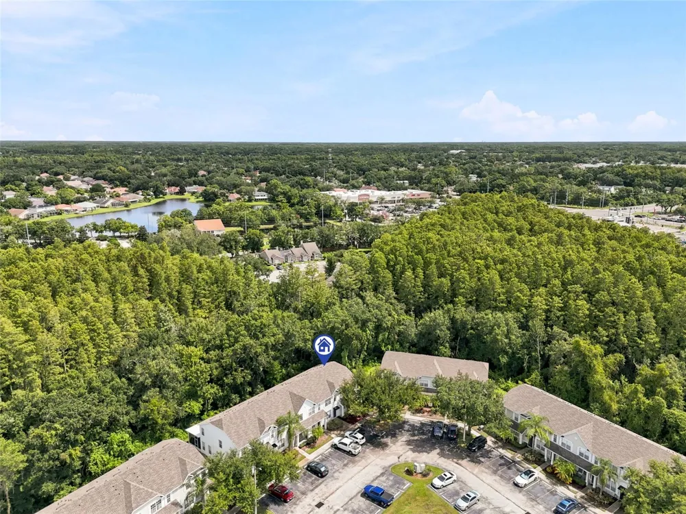 12725 SUNLAND COURT Tampa, FL 33625