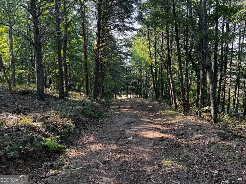 330 Wild Azalea TRL Waleska, GA 30183