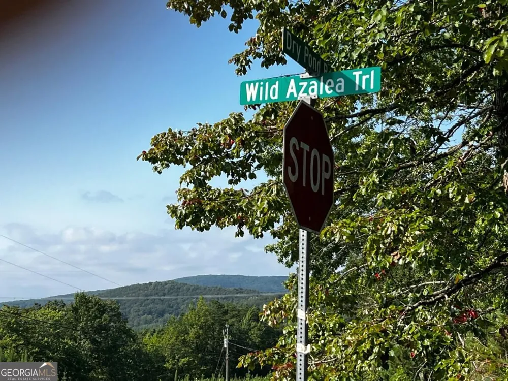 330 Wild Azalea TRL Waleska, GA 30183