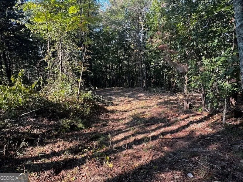 330 Wild Azalea TRL Waleska, GA 30183