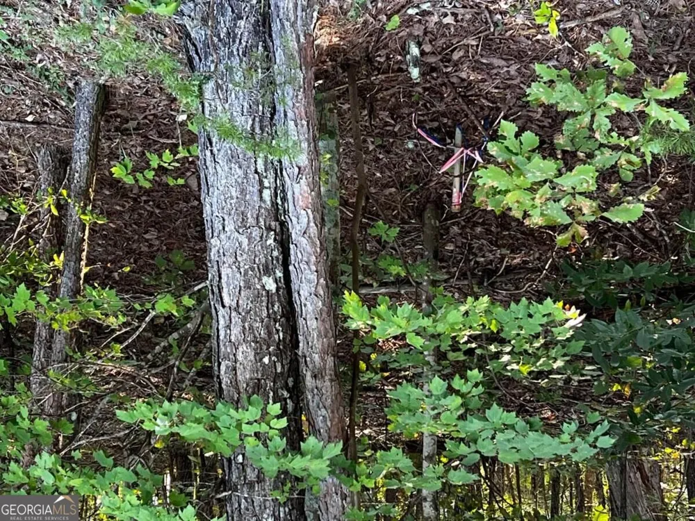 330 Wild Azalea TRL Waleska, GA 30183