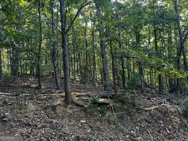 330 Wild Azalea TRL Waleska, GA 30183
