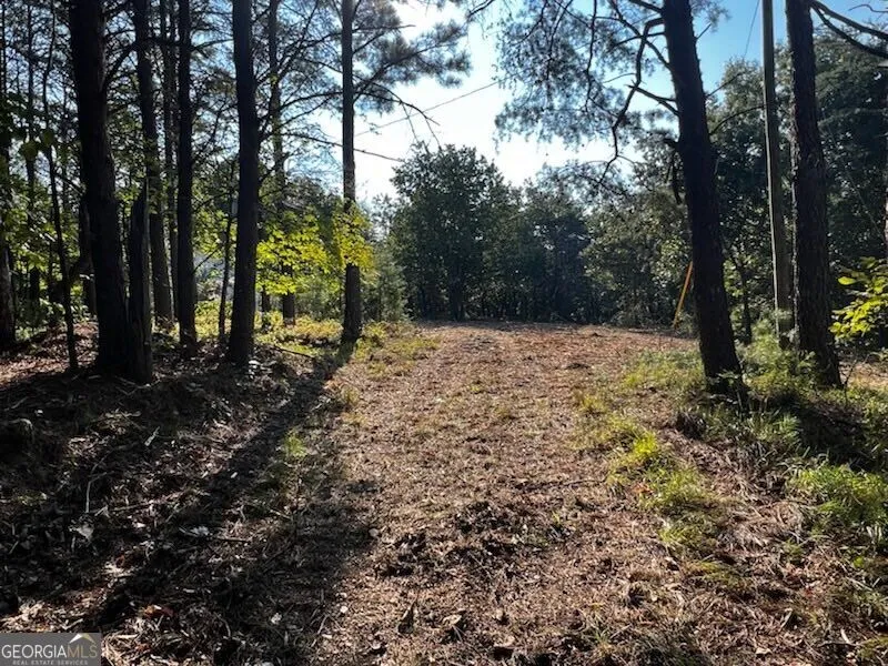330 Wild Azalea TRL Waleska, GA 30183