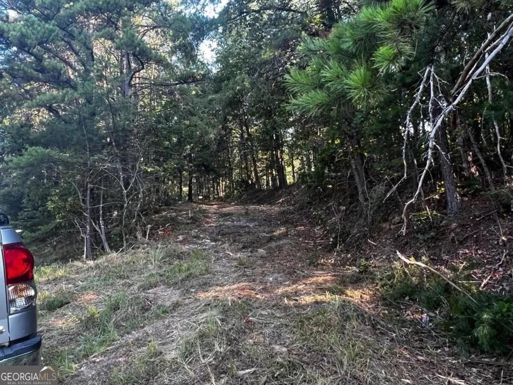 330 Wild Azalea TRL Waleska, GA 30183