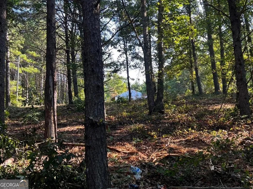 330 Wild Azalea TRL Waleska, GA 30183