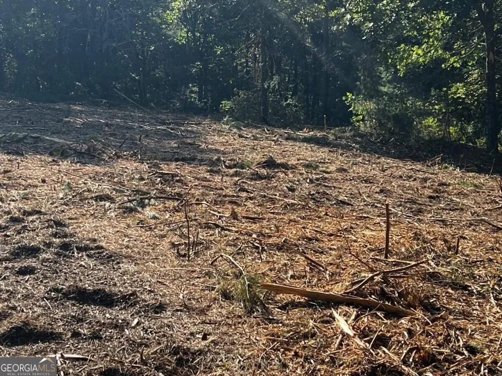 330 Wild Azalea TRL Waleska, GA 30183