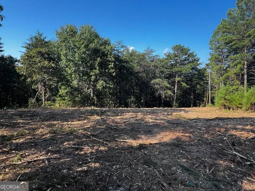 330 Wild Azalea TRL Waleska, GA 30183