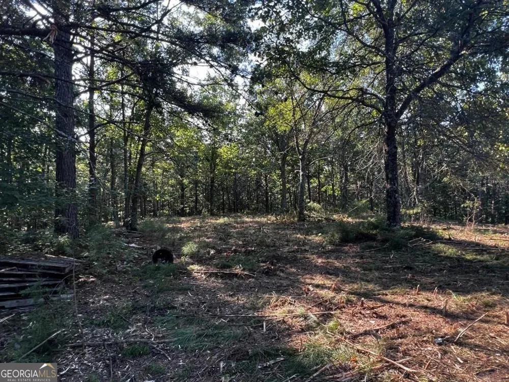 330 Wild Azalea TRL Waleska, GA 30183