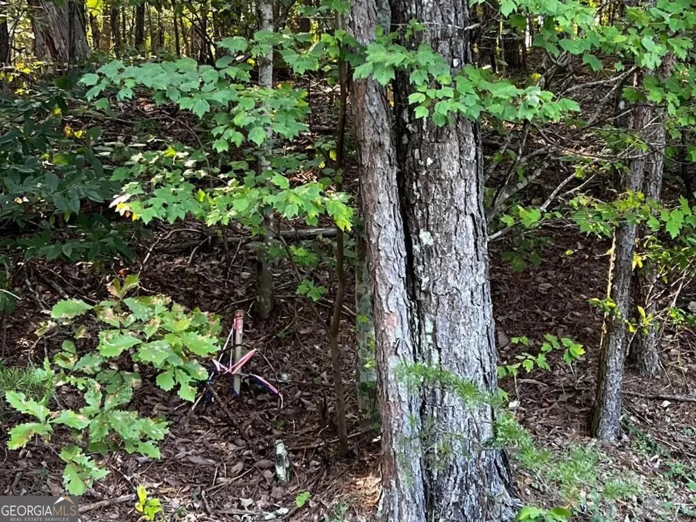 330 Wild Azalea TRL Waleska, GA 30183
