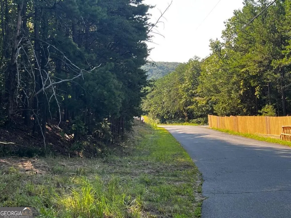 330 Wild Azalea TRL Waleska, GA 30183