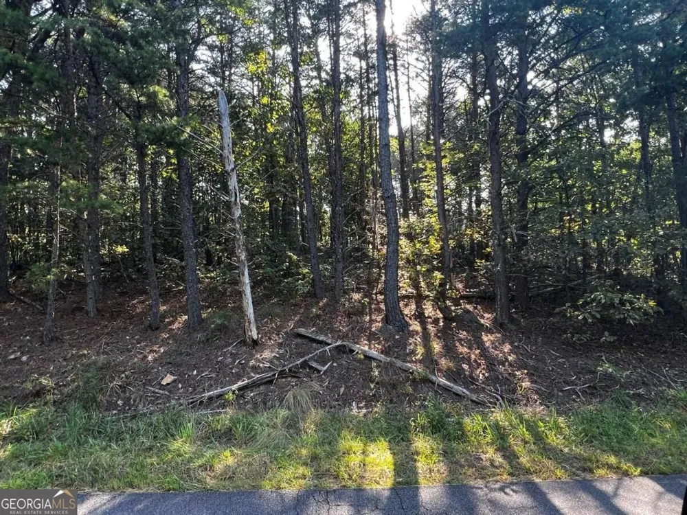 330 Wild Azalea TRL Waleska, GA 30183