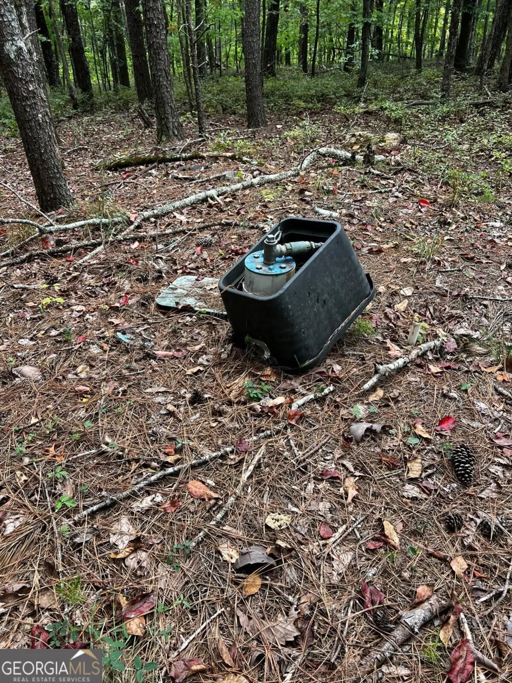 330 Wild Azalea TRL Waleska, GA 30183
