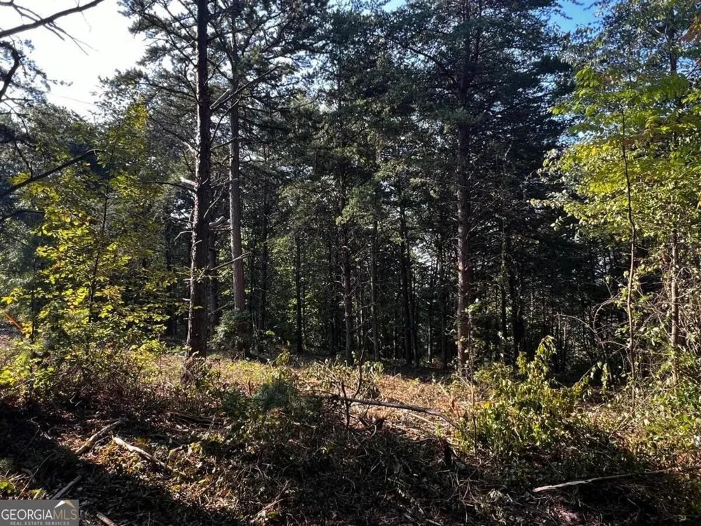 330 Wild Azalea TRL Waleska, GA 30183