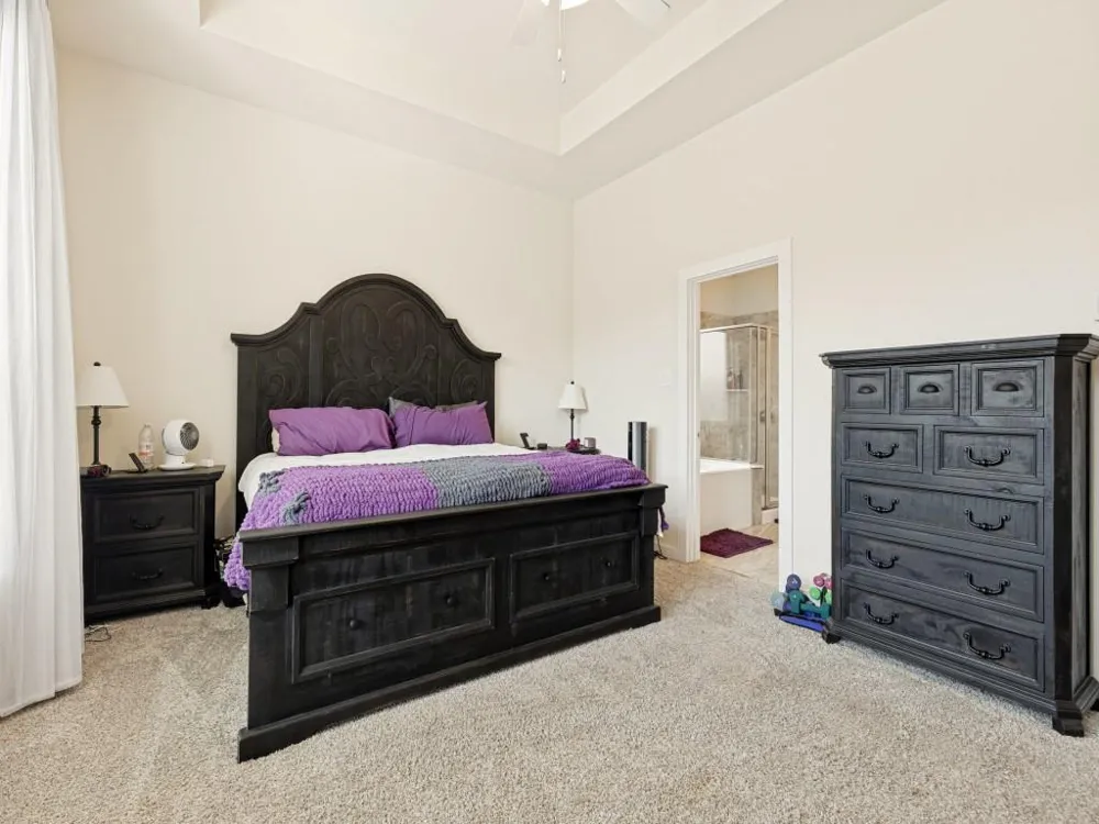 15316 Barnacle Goose Court Magnolia, TX 77354