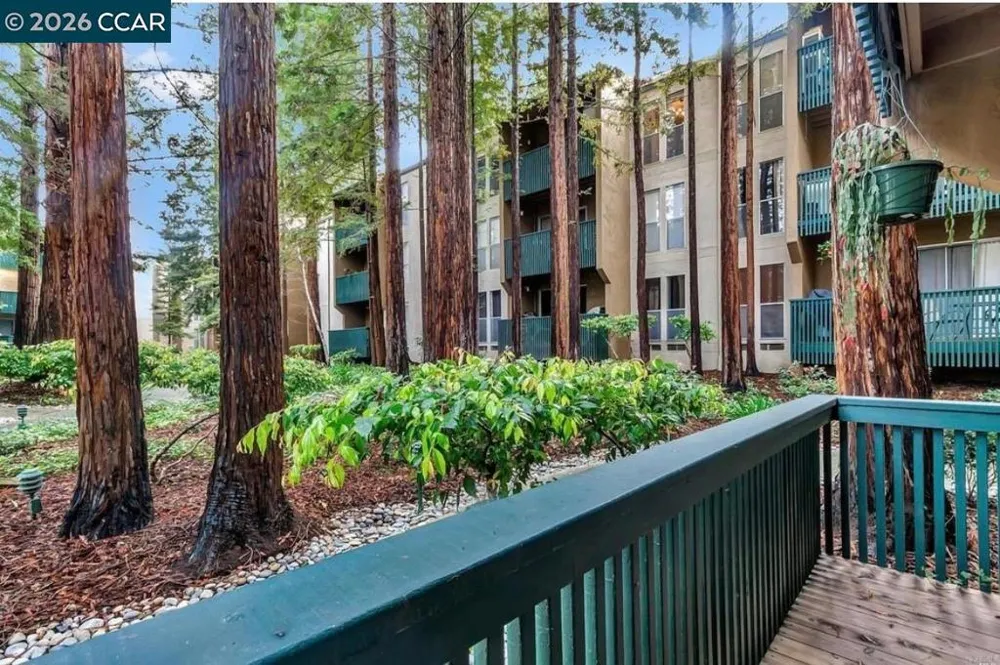 1236 Walker Ave #105 Walnut Creek, CA 94596