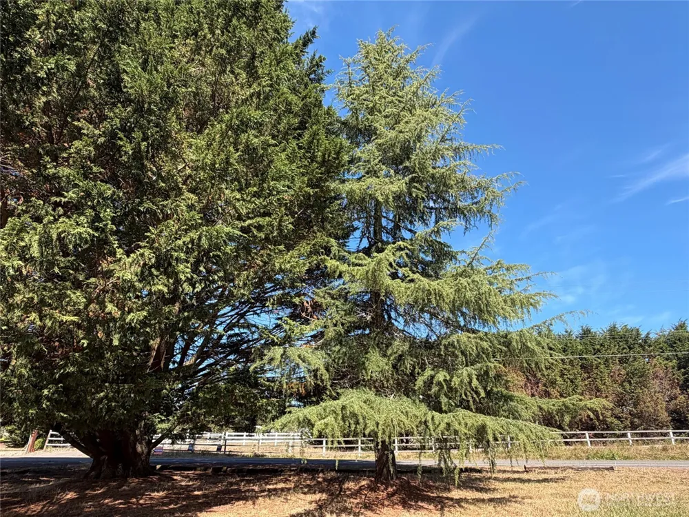 3295 Hastings Port Townsend, WA 98368
