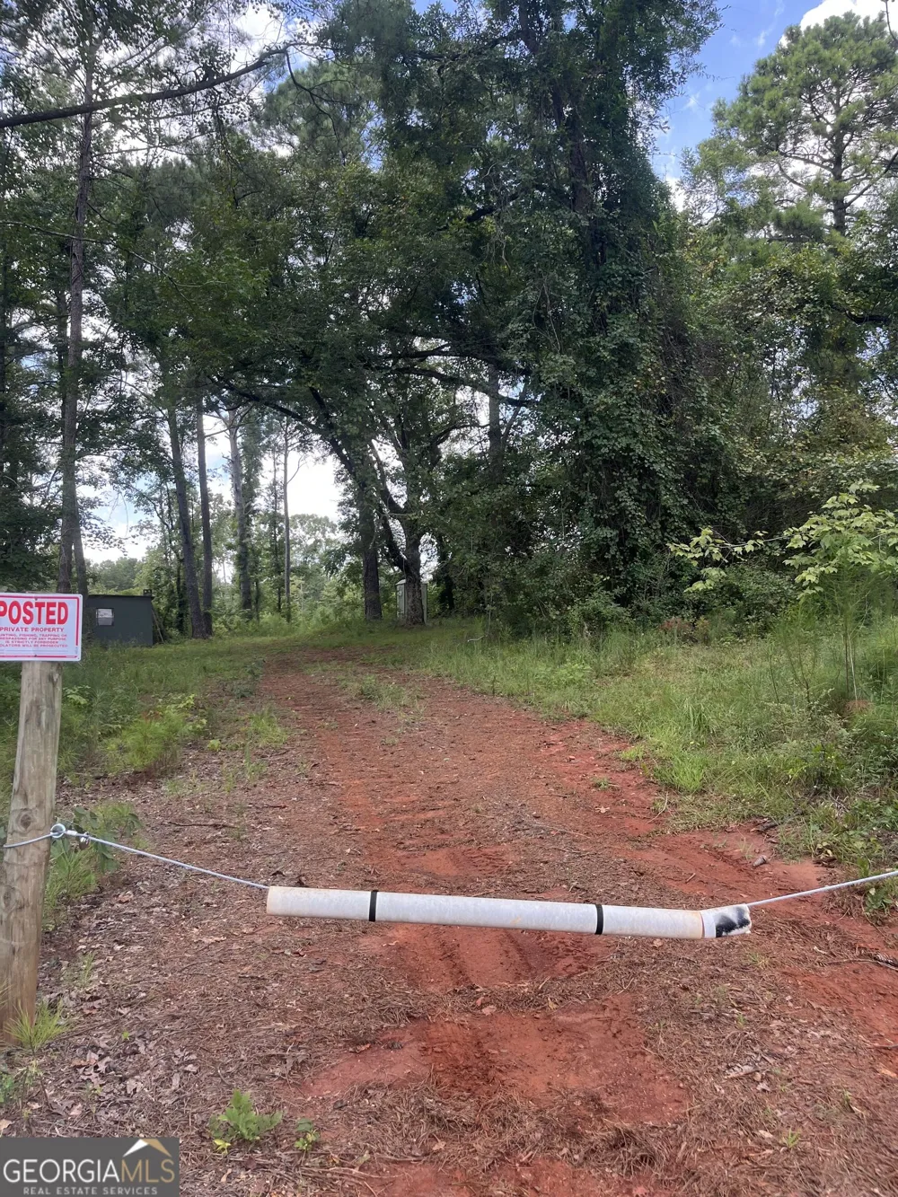 0 Anderson Road Woodland, GA 31836