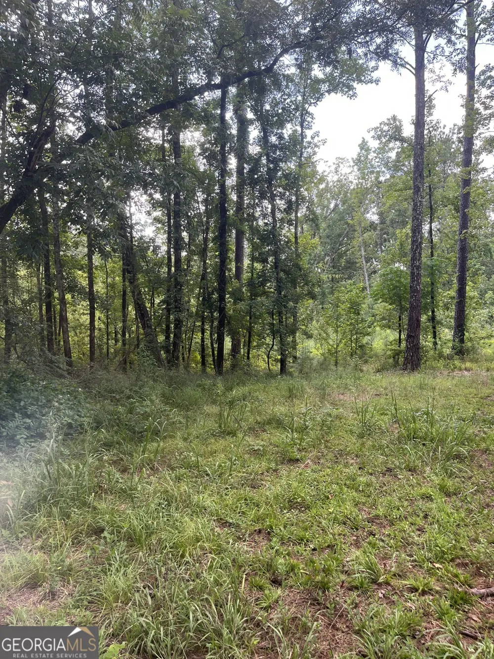 0 Anderson Road Woodland, GA 31836