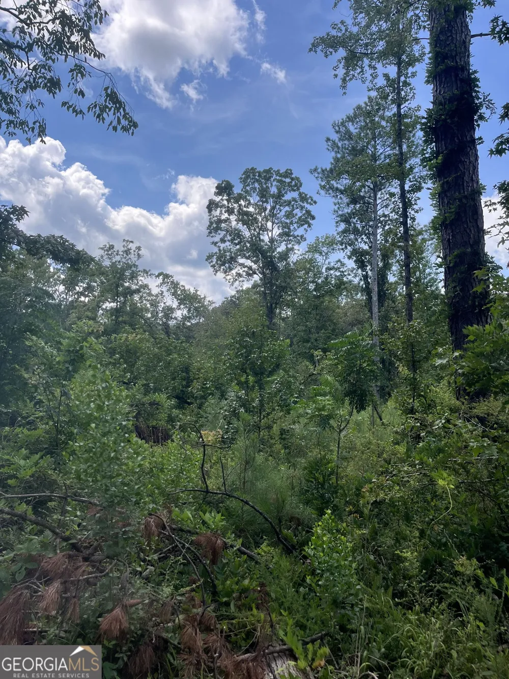 0 Anderson Road Woodland, GA 31836
