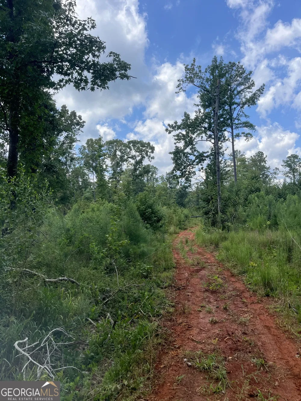 0 Anderson Road Woodland, GA 31836