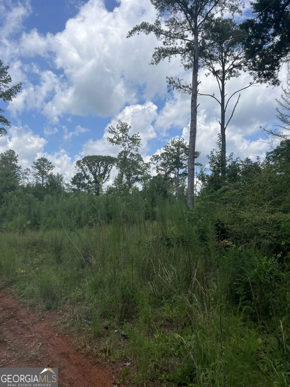 0 Anderson Road Woodland, GA 31836