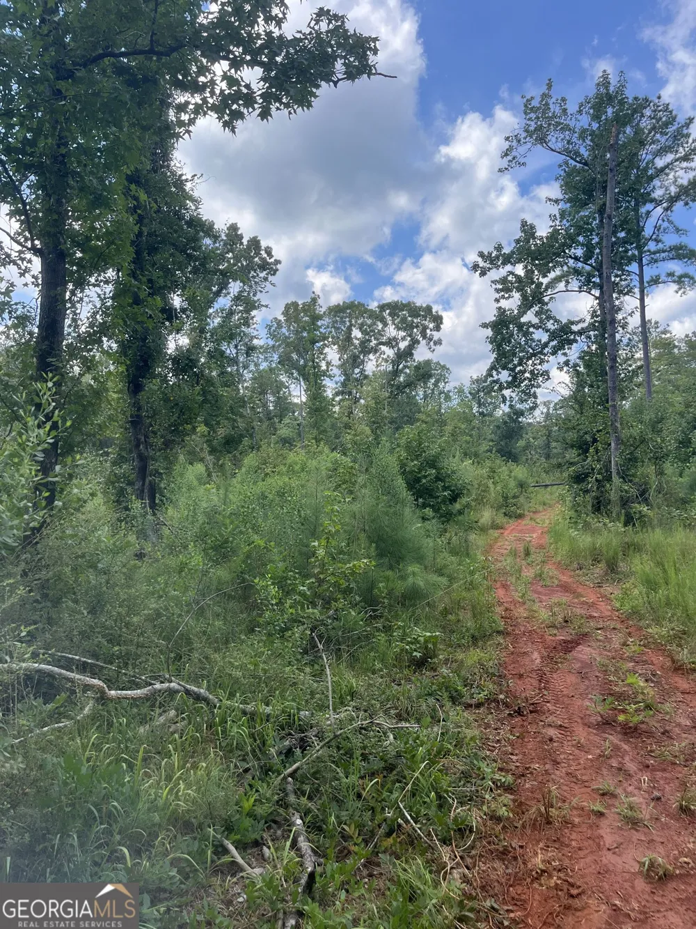 0 Anderson Road Woodland, GA 31836