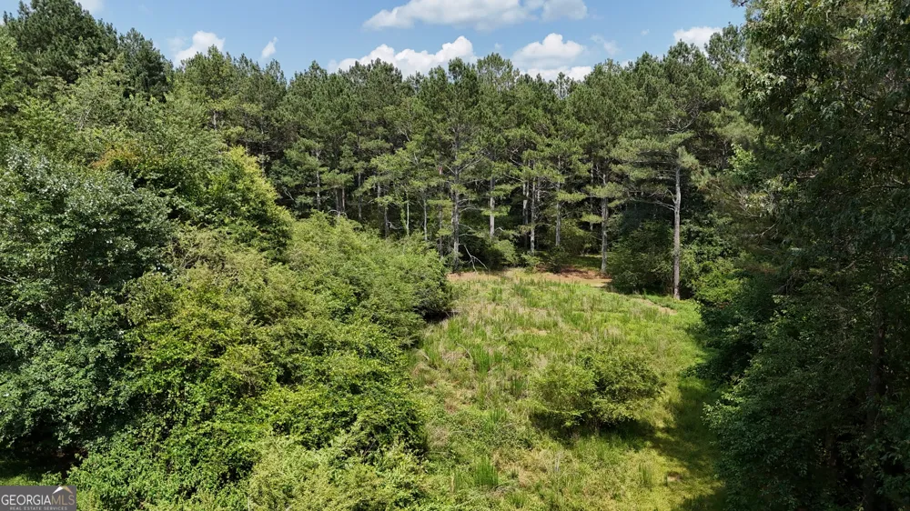 3729 Duncan Bridge RD Cornelia, GA 30531
