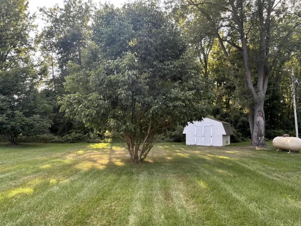 7223 15 1/2 Mile Road Marshall, MI 49068