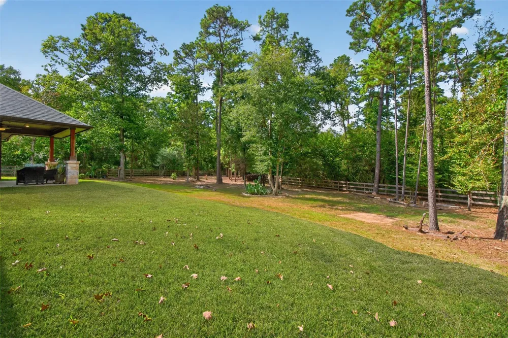15741 Forest Grove Drive Willis, TX 77378